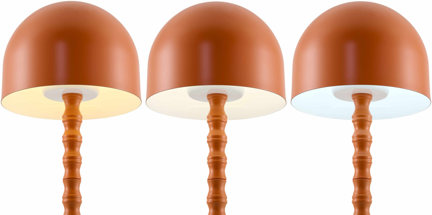 Magdagachi Orange Table Lamp